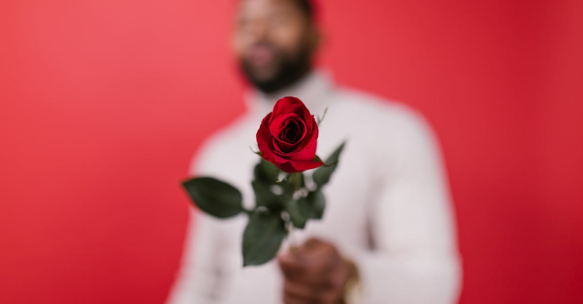idées cadeaux de dernière minute pour la saint-valentin : trouvez le présent parfait même à la dernière heure pour surprendre votre moitié.