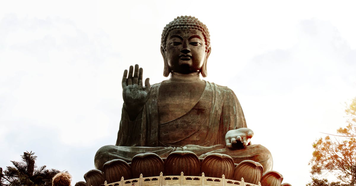 découvrez lelo tiani, une marque innovante alliant design élégant et performances exceptionnelles pour votre bien-être intime.