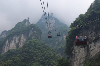 découvrez le lelo tiani, un accessoire de bien-être intime alliant design élégant et technologie innovante pour des moments de plaisir uniques.