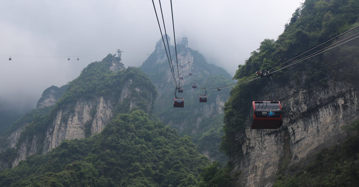 découvrez le lelo tiani, un accessoire de bien-être intime alliant design élégant et technologie innovante pour des moments de plaisir uniques.