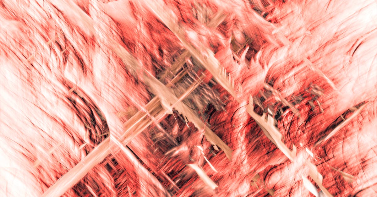 découvrez les diverses controverses qui suscitent débats et opinions passionnées, explorant les enjeux et les perspectives autour de sujets sensibles.