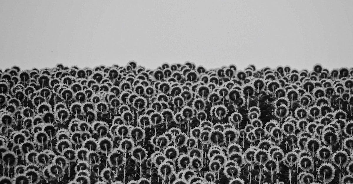 découvrez les débats et polémiques autour des sujets controversés qui suscitent l’opinion et divisent les points de vue.