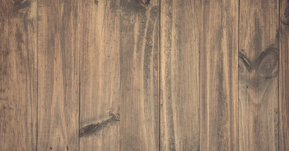 découvrez tout ce qu'il faut savoir sur le cunnilingus : techniques, conseils et bienfaits pour une expérience intime réussie et épanouissante.