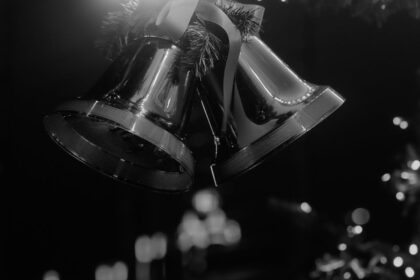 emmaüs est un mouvement solidaire qui lutte contre l'exclusion en proposant des solutions d'hébergement, de réinsertion sociale et de solidarité à travers des actions concrètes.