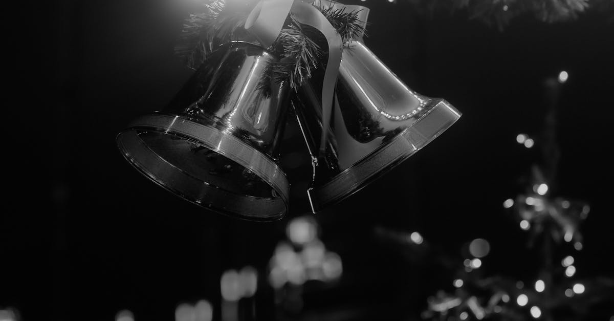 emmaüs est un mouvement solidaire qui lutte contre l'exclusion en proposant des solutions d'hébergement, de réinsertion sociale et de solidarité à travers des actions concrètes.