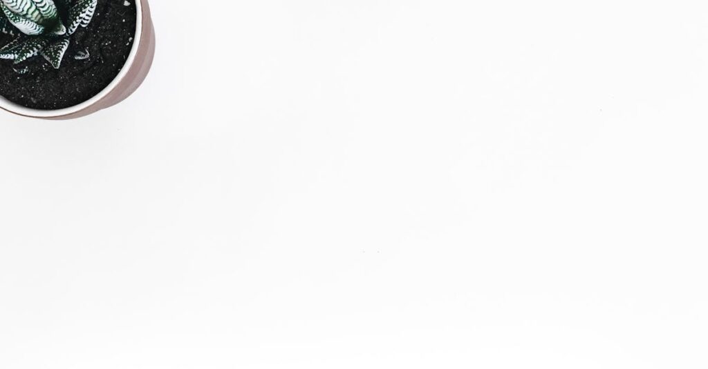 découvrez tout sur l'orgasme : ses mécanismes, bienfaits et conseils pour une vie intime épanouie.