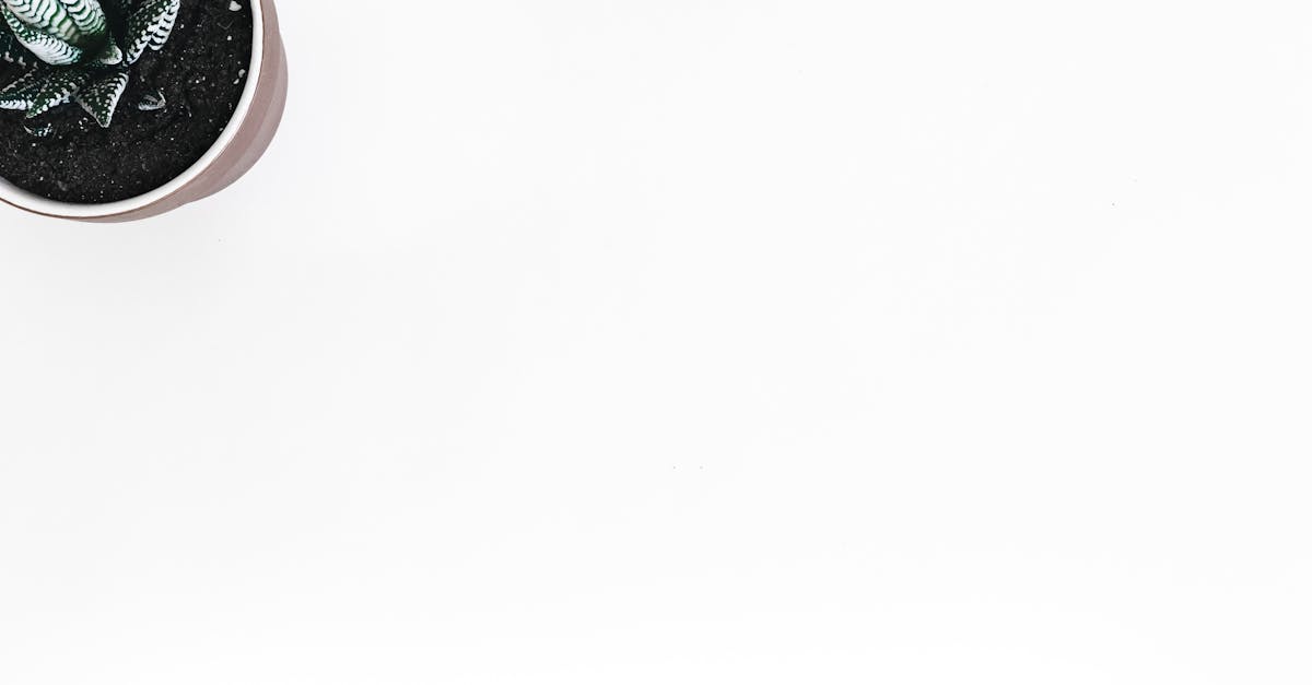 découvrez tout sur l'orgasme : ses mécanismes, bienfaits et conseils pour une vie intime épanouie.