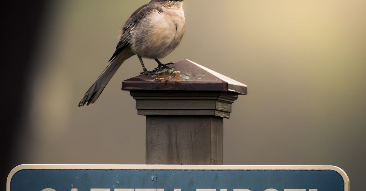 découvrez nos conseils et solutions pour assurer votre sécurité au quotidien et protéger ce qui compte le plus.