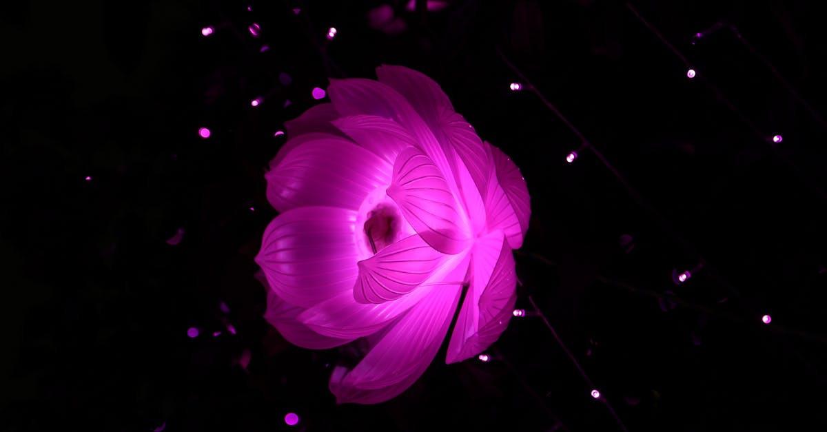 découvrez notre sélection de sextoys pour pimenter votre vie intime. qualité, plaisir et discrétion garantis pour tous vos envies.