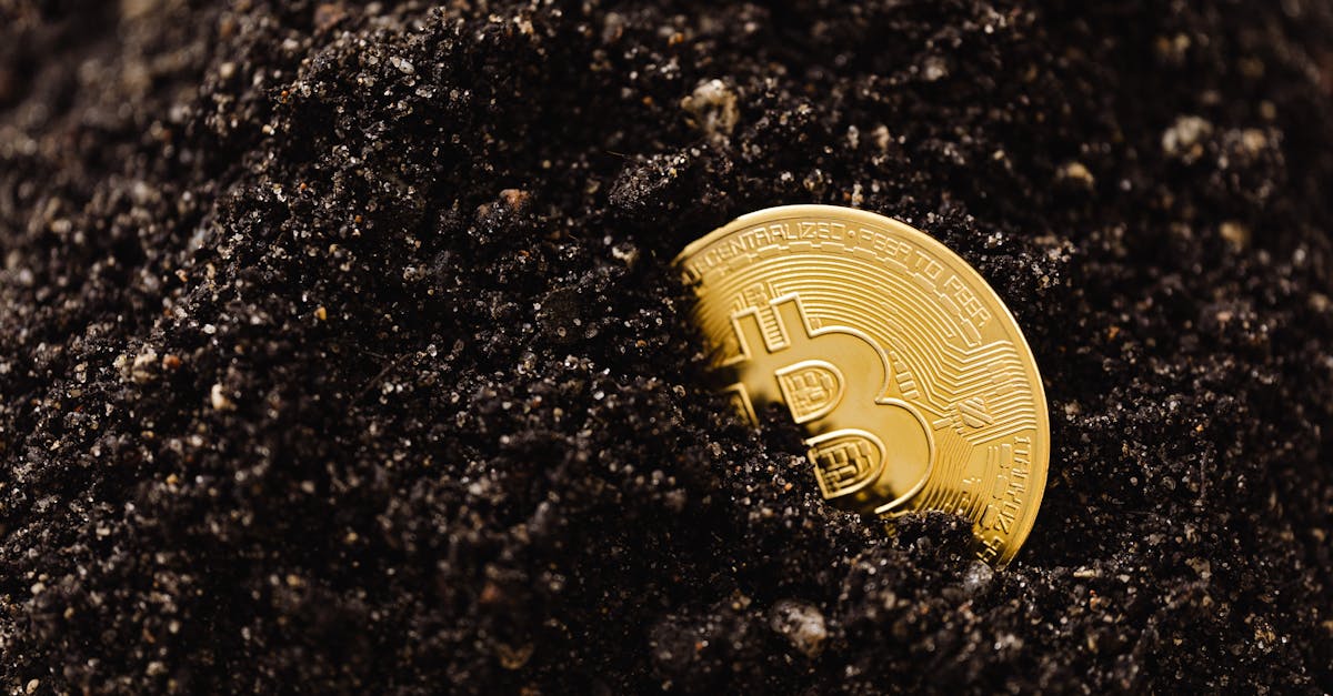 partez à l'aventure avec notre chasse au trésor palpitante, idéale pour petits et grands. découvrez des indices, résolvez des énigmes et trouvez le trésor caché pour une expérience inoubliable.