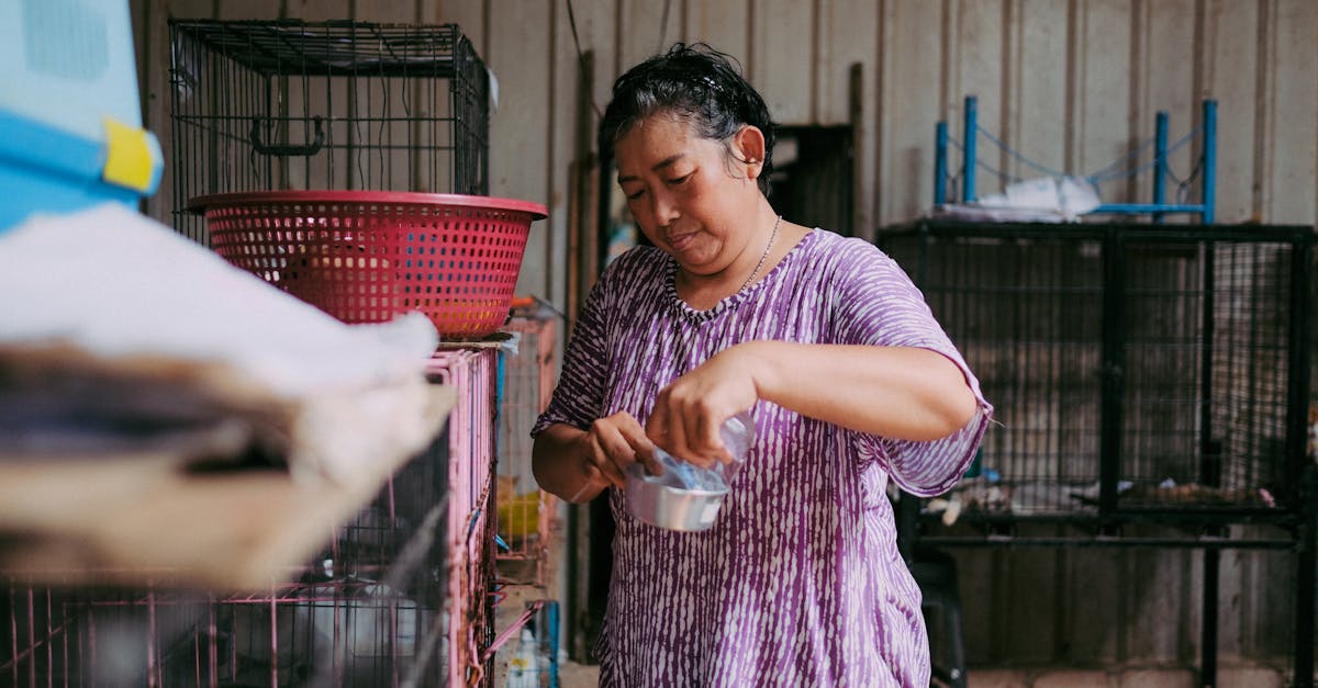 un refuge pour femmes offrant soutien, sécurité et accompagnement aux femmes en situation de détresse.